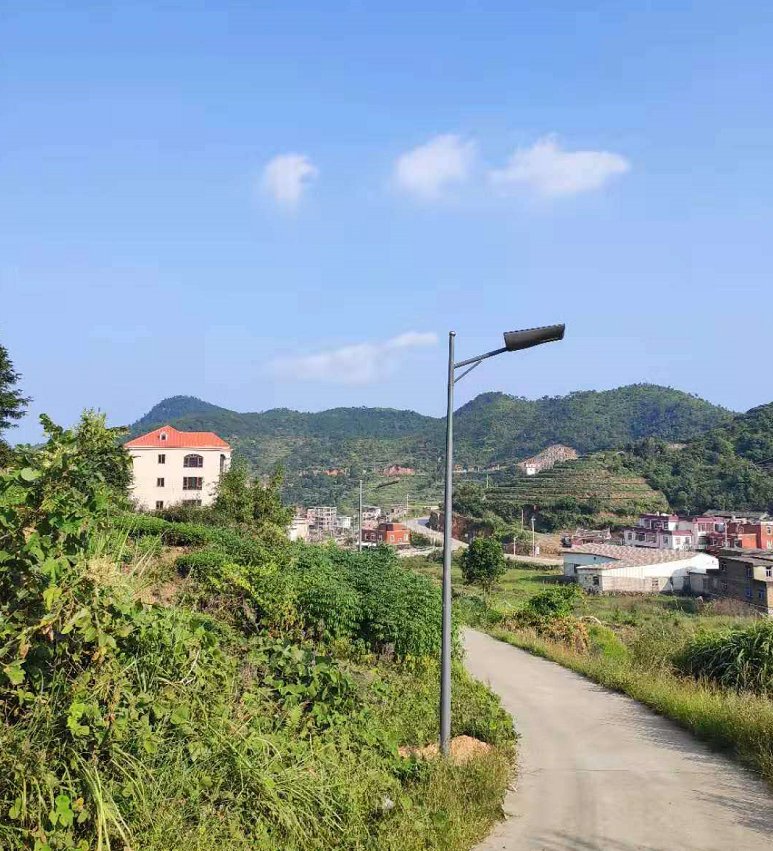 常州斜纹夜蛾监测点